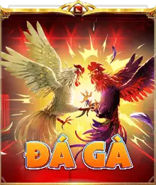 Đá gà Thomo, đá gà Campuchia