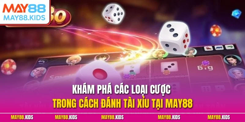 Khám phá các loại cược trong cách đánh tài xỉu tại May88